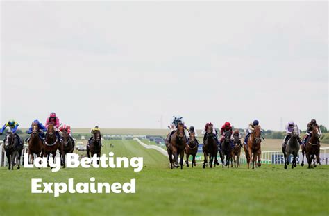 lay betting sites|Beginner’s Guide to Lay Betting .